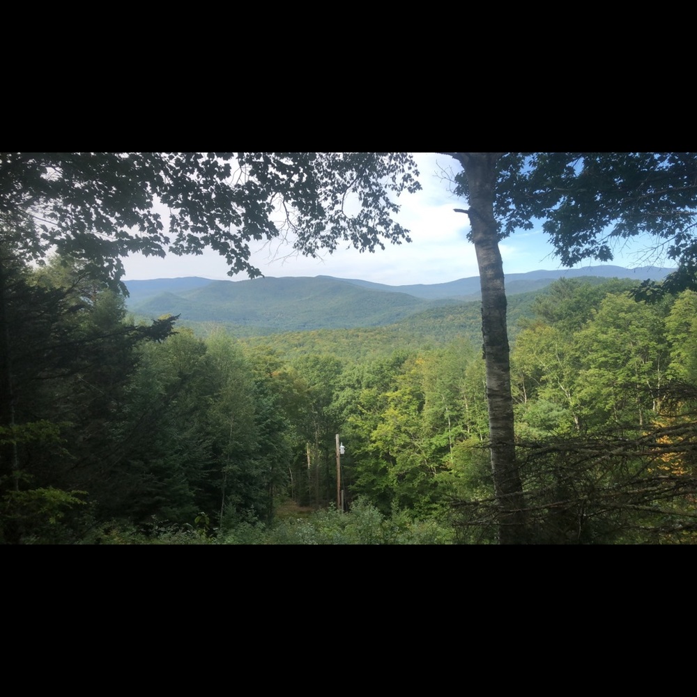 Meet your Posher, Alexa